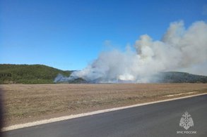 Горе-шашлычник в Кировской области устроил пожар, который уничтожил 4 гектара леса
