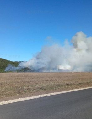 Горе-шашлычник в Кировской области устроил пожар, который уничтожил 4 гектара леса