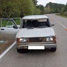 При ДТП с лосем в Кировской области пострадала 40-летняя женщина
